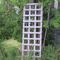木製ラティス　トレリス　ガーデンフェンス　立て掛け型　☆ラベンダー☆ 1枚目の画像