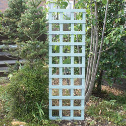 木製ラティス　トレリス　ガーデンフェンス　立て掛け型　☆ライトブルー☆ 1枚目の画像