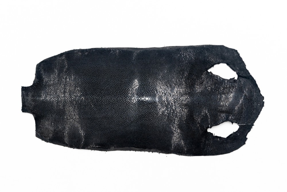 エイ革　ポリッシュ　ブラック　８INCH