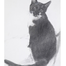 猫　靴下ネコ⊕　デッサン　鉛筆画　絵　絵画　A5 2枚目の画像