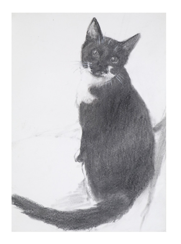 猫　靴下ネコ⊕　デッサン　鉛筆画　絵　絵画　A5 2枚目の画像