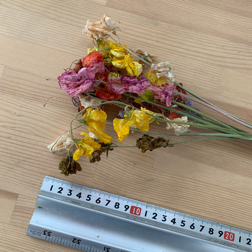 ドライフラワー❇️スイートピー❣️春色ᕷ*.°カラー 高級ドライ】スイートピー(紫) 品種おまかせ【40cm】｜Flower Smith