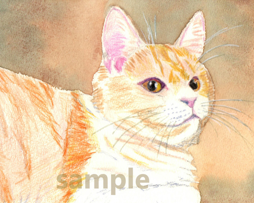 まったりとしている猫 絵画 ペットの似顔絵屋 通販 11845125