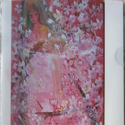 A4クリアファイル 魔女の桜浴+無地の二枚組 1枚目の画像