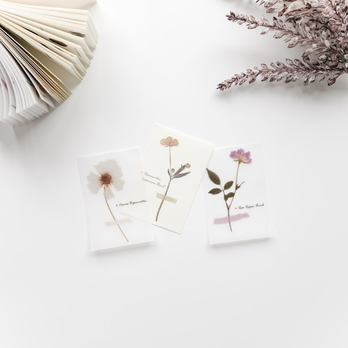 押し花調デザインペーパー 80枚 botanical [AZ982] その他雑貨