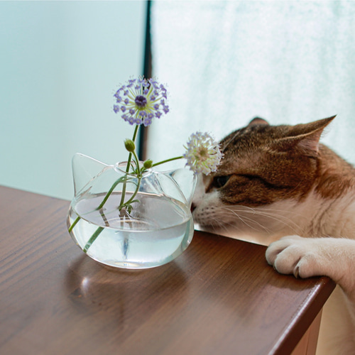 ねこの花瓶】雑誌『リンネル』『猫びより』に掲載☆ 一輪挿し