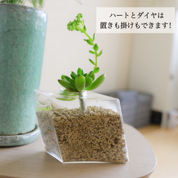 【フック付き壁掛け花瓶ダイヤ】倒れない花瓶で話題！ 7枚目の画像