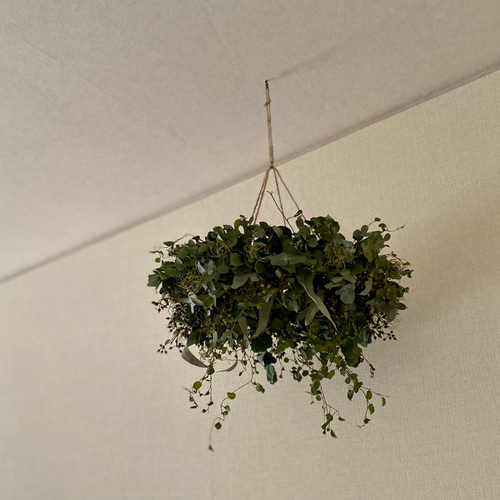 大きめ】ドライのユーカリとワイヤープランツのフライングリース