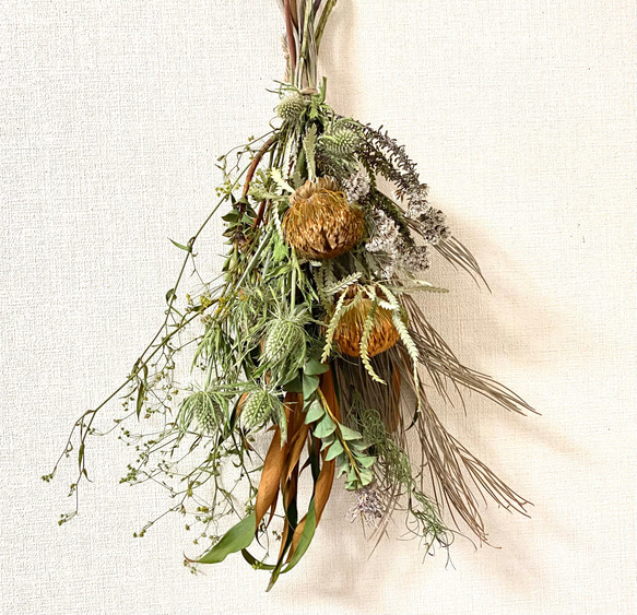 ネイティブドライフラワーのスワッグ⑤ スワッグ irodori0012 通販