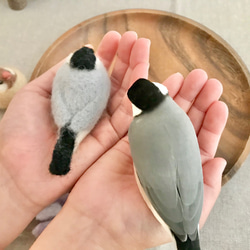 もっふり手乗り文鳥さん　羊毛フェルト〈受注制作〉 7枚目の画像