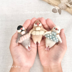 1_523812862d73674a6a8e32c63645