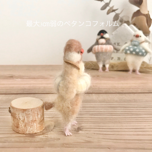 浮き輪をはめた文鳥さん 羊毛フェルト 羊毛フェルト Paruku 通販