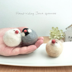 もっふり居眠り文鳥さん 羊毛フェルト【受注制作】 羊毛フェルト