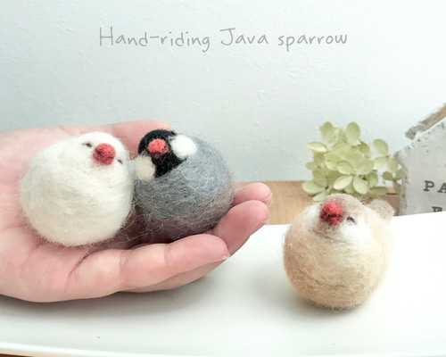 0_0431a678de6d3333a1c3fb27edad