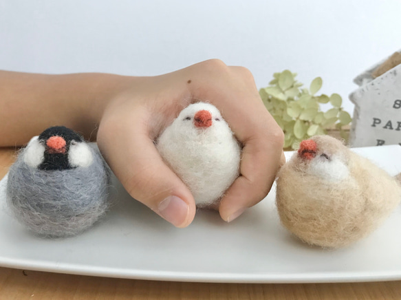 もっふり居眠り文鳥さん　羊毛フェルト【受注制作】 9枚目の画像