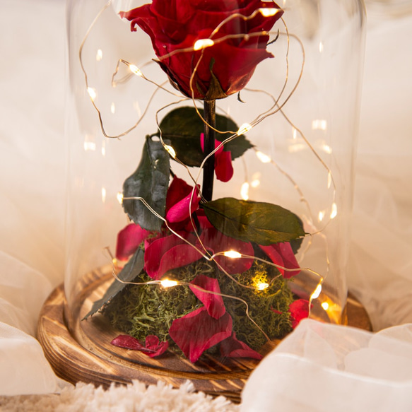 【唯一】美女與野獸 日本永生花 玫瑰 LED 玻璃鐘罩 夜燈 第3張的照片