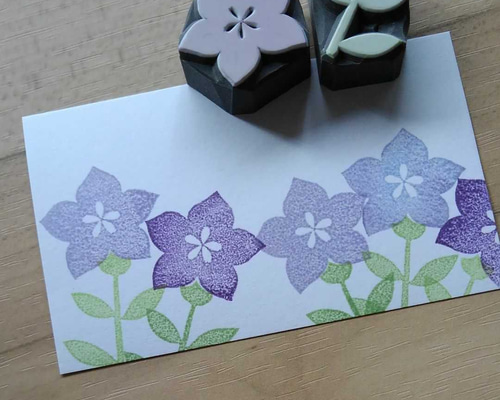 1_855e62cda4d3b46e225edc408b54