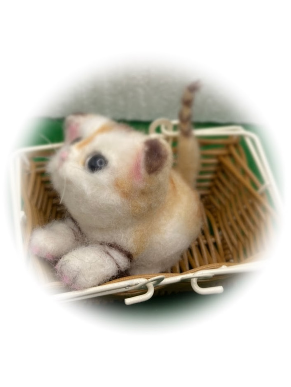うちのコ　愛猫　羊毛フェルトねこ　スナネコ　籠の中のすなねこの赤ちゃん　ハンドメイドねこ　chimaねこ 5枚目の画像