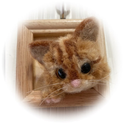 うちのコ　愛猫　羊毛フェルト猫　額の猫ちゃん　ハンドメイドねこ　スコティッシュ立ち耳　インテリア雑貨猫　chimaねこ 3枚目の画像