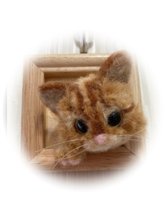 うちのコ　愛猫　羊毛フェルト猫　額の猫ちゃん　ハンドメイドねこ　スコティッシュ立ち耳　インテリア雑貨猫　chimaねこ 3枚目の画像