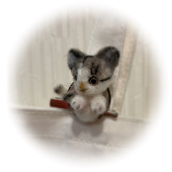 うちのコ　愛猫　羊毛フェルトねこミニブローチ　キジトラ白　ハンドメイドねこブローチ　chimaねこ　ぬいぐるみねこ 3枚目の画像