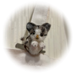 うちのコ　愛猫　羊毛フェルトねこミニブローチ　キジトラ白　ハンドメイドねこブローチ　chimaねこ　ぬいぐるみねこ 5枚目の画像