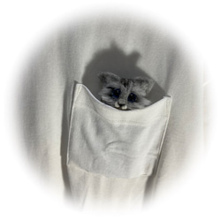 うちのコ　愛猫　羊毛フェルトねこブローチ　アメショーブローチ　　ハンドメイドねこブローチ　chimaねこ　ぬいぐるみねこ 5枚目の画像