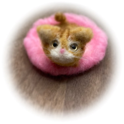 うちのコ　愛猫　羊毛フェルトねこキャットベッドシリーズ猫　茶トラ　ハンドメイドねこ　chimaねこ 1枚目の画像