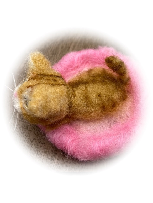 うちのコ　愛猫　羊毛フェルトねこキャットベッドシリーズ猫　茶トラ　ハンドメイドねこ　chimaねこ 4枚目の画像