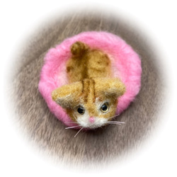 うちのコ　愛猫　羊毛フェルトねこキャットベッドシリーズ猫　茶トラ　ハンドメイドねこ　chimaねこ 6枚目の画像