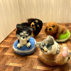 うちのコ　愛猫　羊毛フェルトねこキャットベッドシリーズ猫　mixねこ　ハンドメイドねこ　chimaねこ 5枚目の画像