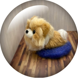 うちのコ　愛犬　羊毛フェルトいぬ　ドッグベッドシリーズ　ポメラニアンM　ハンドメイド犬　chimaいぬ 3枚目の画像