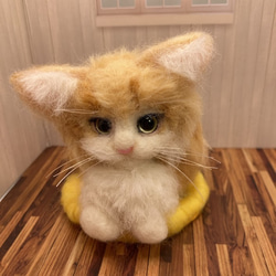 うちのコ　愛猫　羊毛フェルトねこ　キャットベッドシリーズ　メインクーンL　ハンドメイドねこ　chimaねこ 1枚目の画像