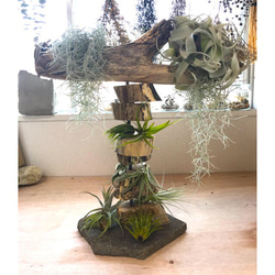 輪切り流木　スタンド　変わったアート 1枚目の画像