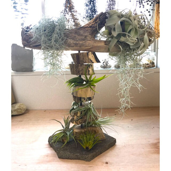 輪切り流木　スタンド　変わったアート 1枚目の画像
