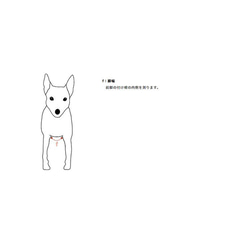 【新作】冬物セーター ハンドメイド jerry マゼンタ 犬服 ペット服 手編み dogwear 7枚目の画像