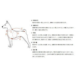 【新作】冬物セーター ハンドメイド whip スチールグレー 犬服 ペット服 手編み dogwear 6枚目の画像