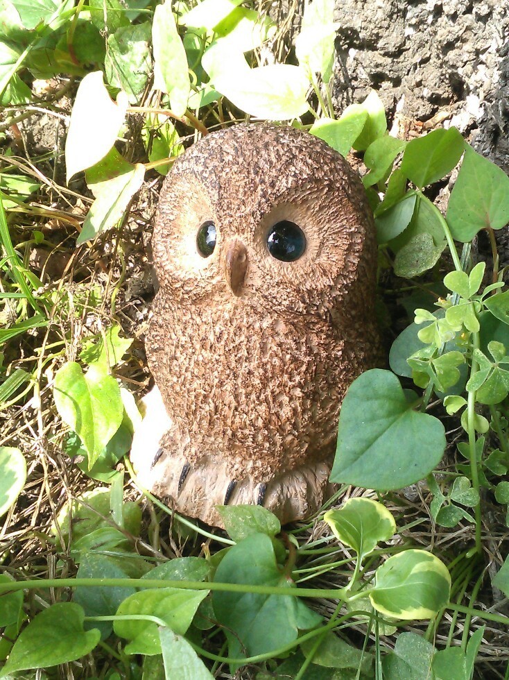 あみぐるみ　ふくろう　【受注製作になります】 あみぐるみ ふくろう 【受注製作になります】 受注制作 あみぐるみ