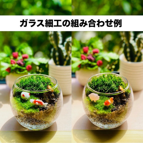 芸術の秋】金運祈願の苔テラリウム(苔リウム・コケリウム) (選べる鉱石