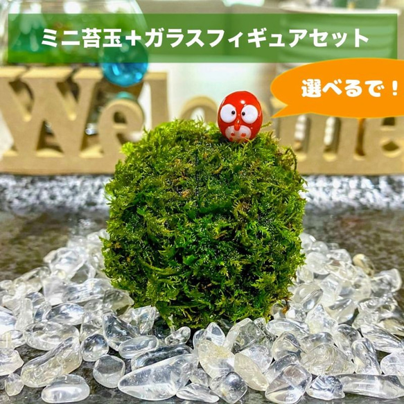 苔玉・小物置きガラス製台座 苔玉・小物置きガラス製台座