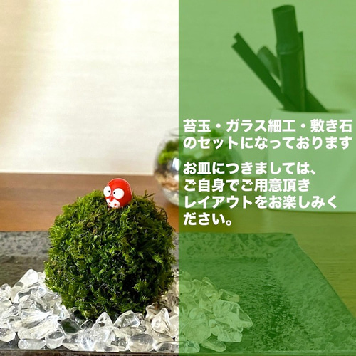 テラリウム】ミニ苔玉＋ガラスフィギュア+敷石用鉱石さざれ石 3点