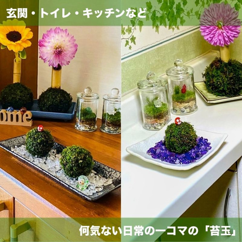 天然石3点セットC 一点物 原石 さざれ石・苔テラリウム・盆栽・和風インテリア用 テラリウム】ミニ苔玉＋ガラスフィギュア+敷石用鉱石さざれ石 3点