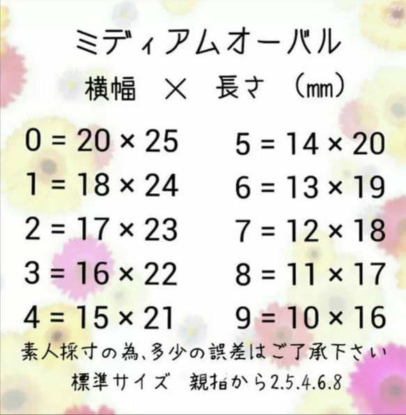 シースルーネイル 4枚目の画像