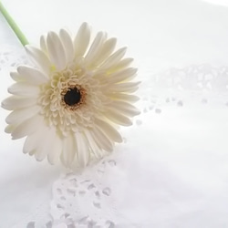 ❁Black Core・Off-White Clay Flower Gerbera 2 件套，室內花，單花瓶❁ 第2張的照片