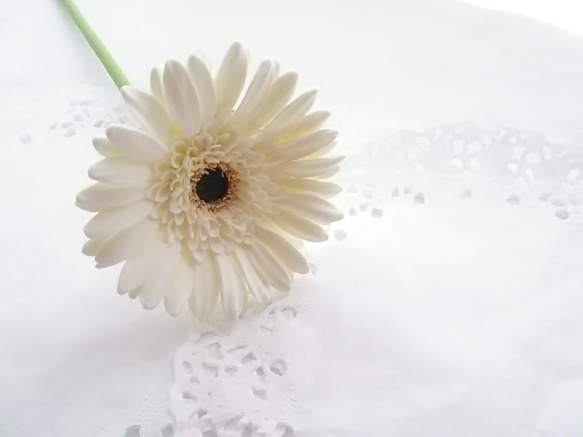 ❁Black Core・Off-White Clay Flower Gerbera 2 件套，室內花，單花瓶❁ 第2張的照片
