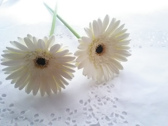 ❁Black Core・Off-White Clay Flower Gerbera 2 件套，室內花，單花瓶❁ 第3張的照片