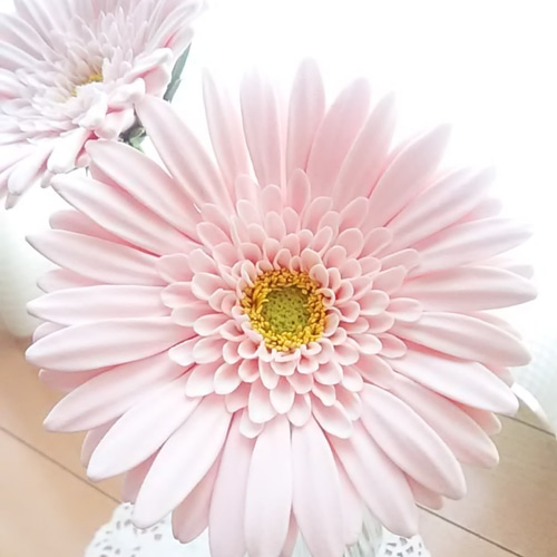 ①１４kgfピアスパープルオニキスmop フラワーカービング スイングハートピアス（ピアス（片耳用））｜flower（フラワー