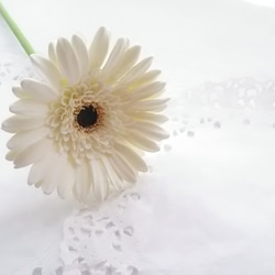 《定制》 ❁2 件套粘土花非洲菊，黑色芯和米白色內花，花瓶用 ❁ 第2張的照片