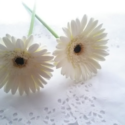 《定制》 ❁2 件套粘土花非洲菊，黑色芯和米白色內花，花瓶用 ❁ 第5張的照片