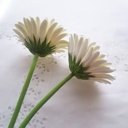 《定制》 ❁2 件套粘土花非洲菊，黑色芯和米白色內花，花瓶用 ❁ 第7張的照片